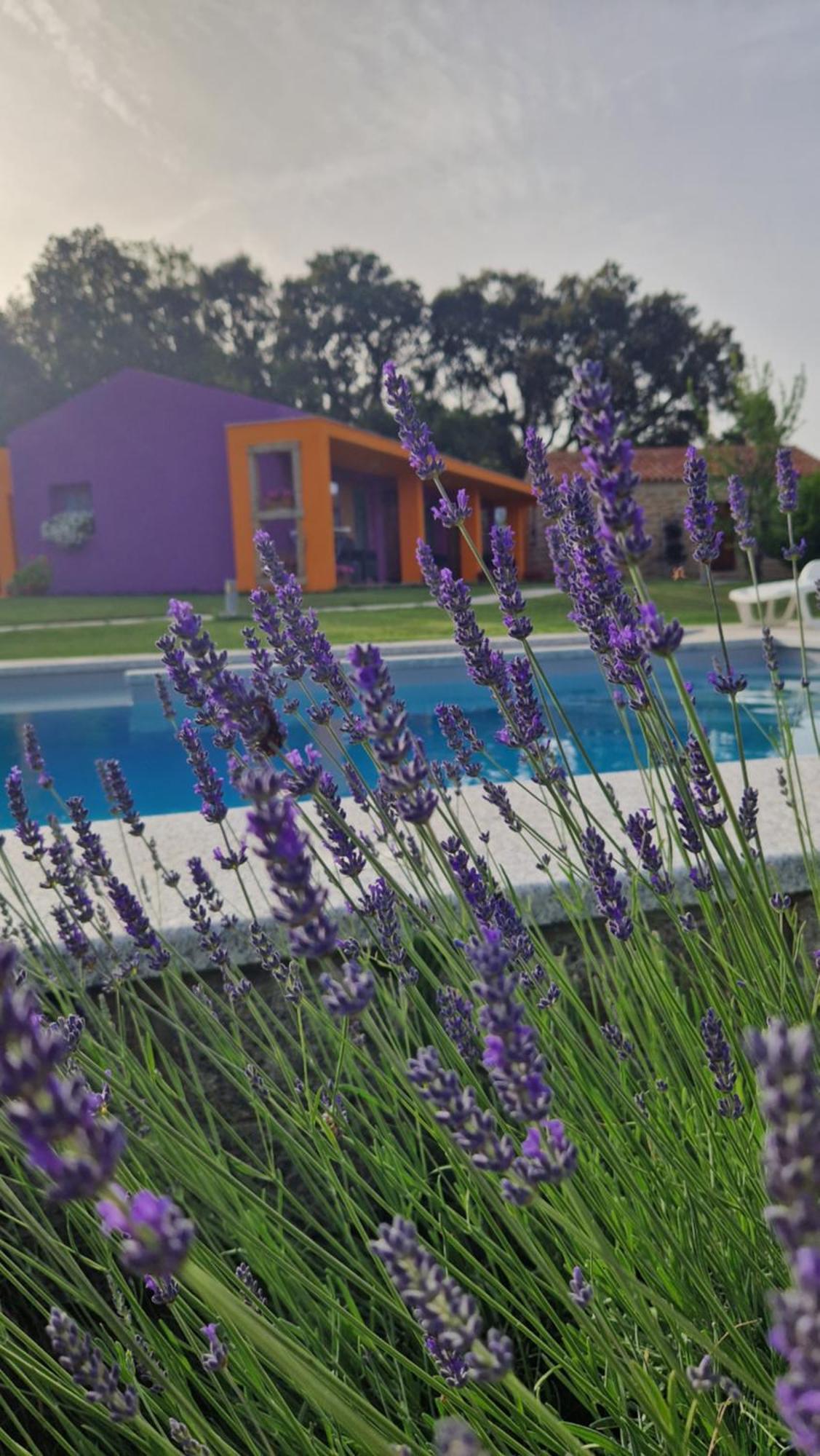 Limbara Dreaming Hotel Tempio Pausania Ngoại thất bức ảnh