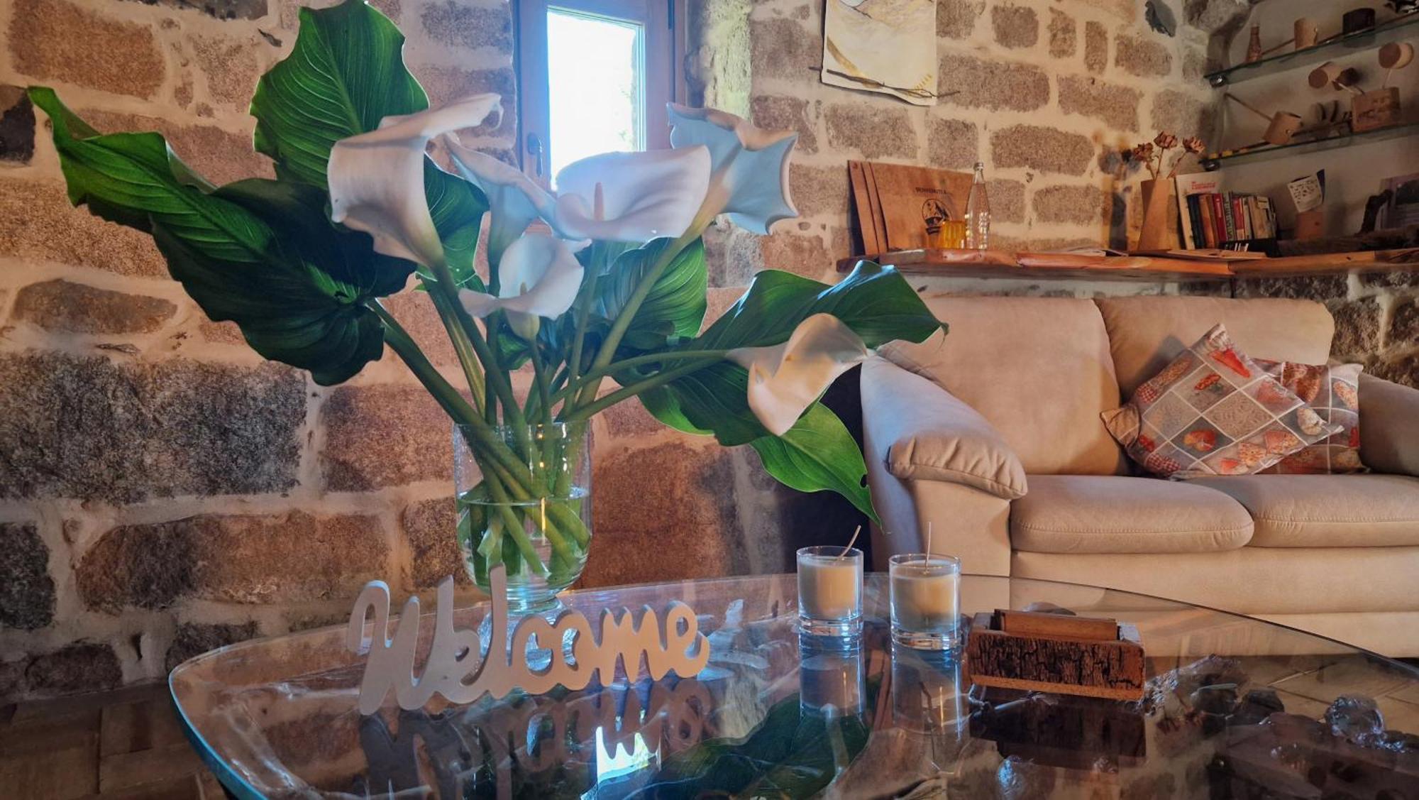 Limbara Dreaming Hotel Tempio Pausania Ngoại thất bức ảnh